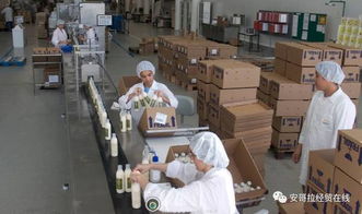 投資1000萬(wàn)美元的化妝品加工廠在安開業(yè)，引領(lǐng)本土美妝產(chǎn)業(yè)新格局